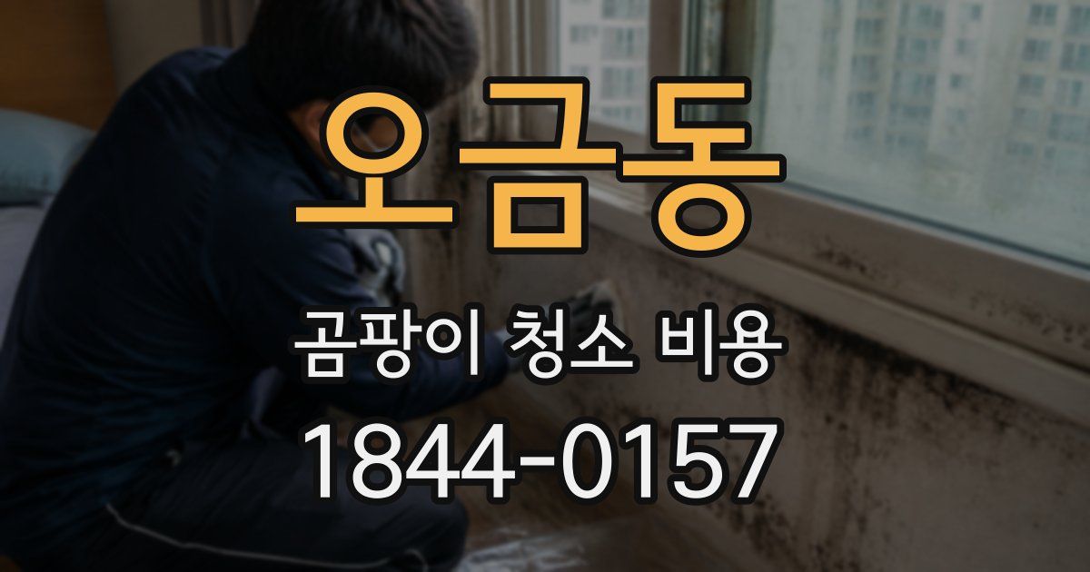 오금동 곰팡이 청소 비용
