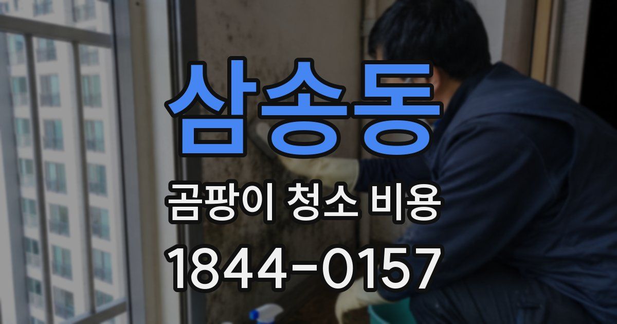 삼송동 곰팡이 청소 비용