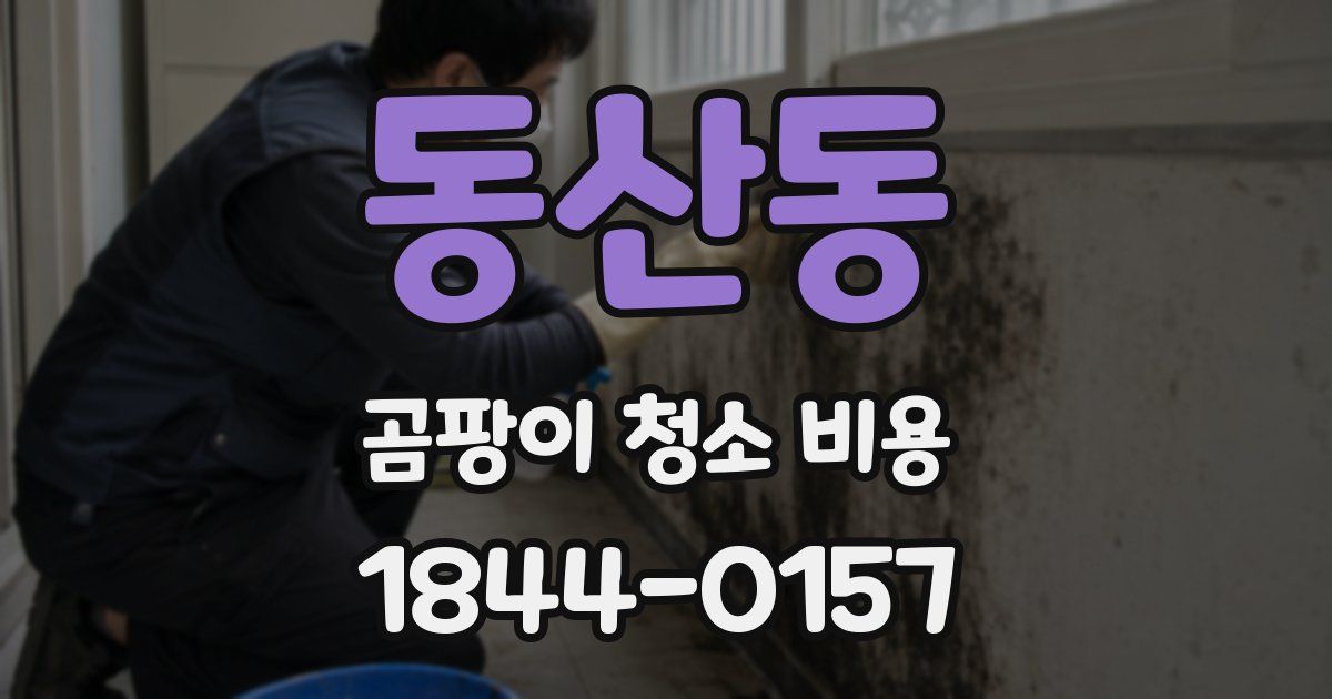 동산동 곰팡이 청소 비용