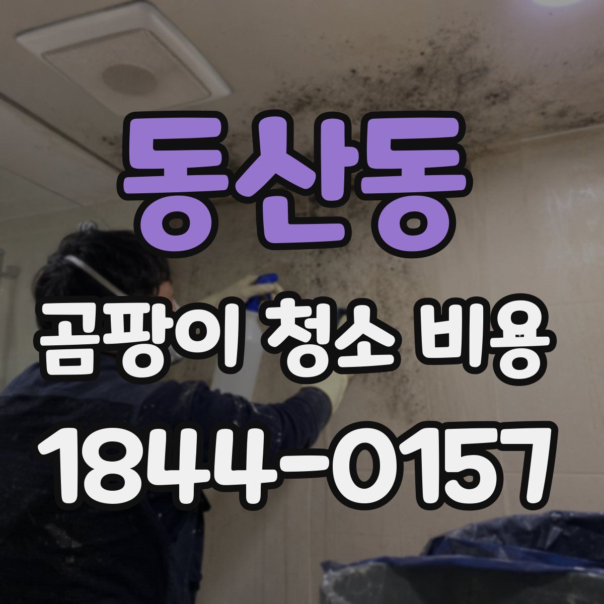 동산동 곰팡이 청소 비용
