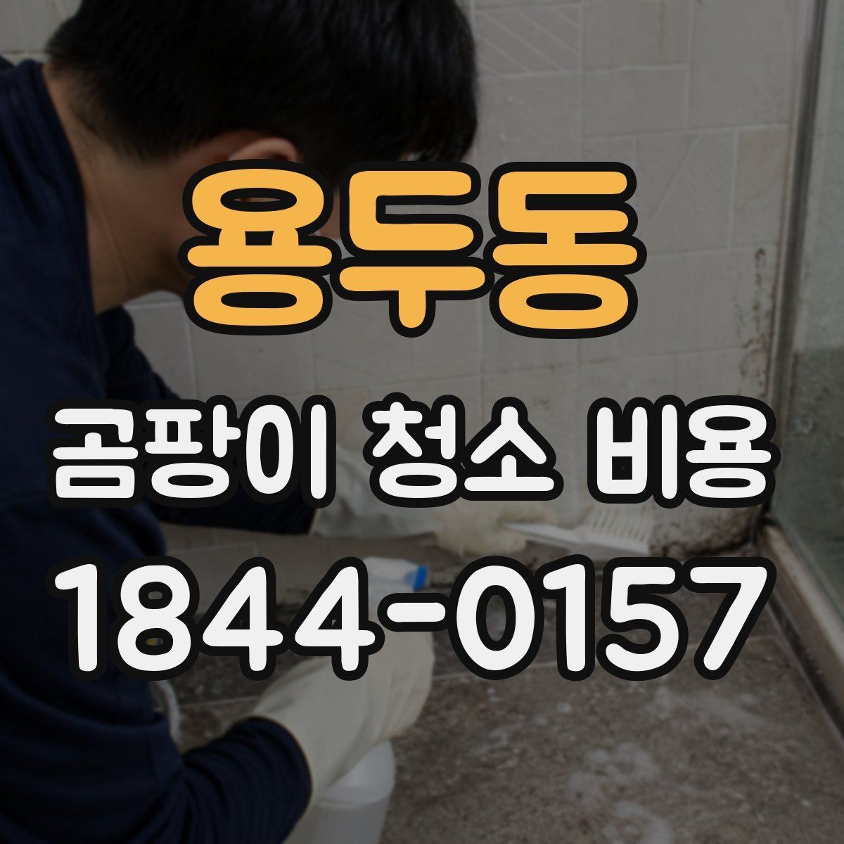 용두동 곰팡이 청소 비용 욕실 누수 뒤 처리 순서와 점검 항목