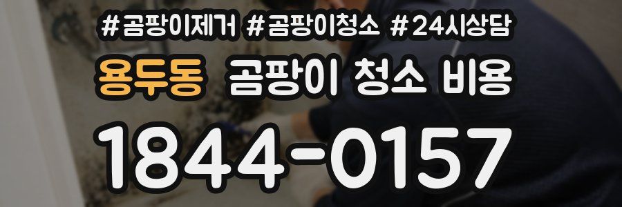 용두동 곰팡이 청소 비용