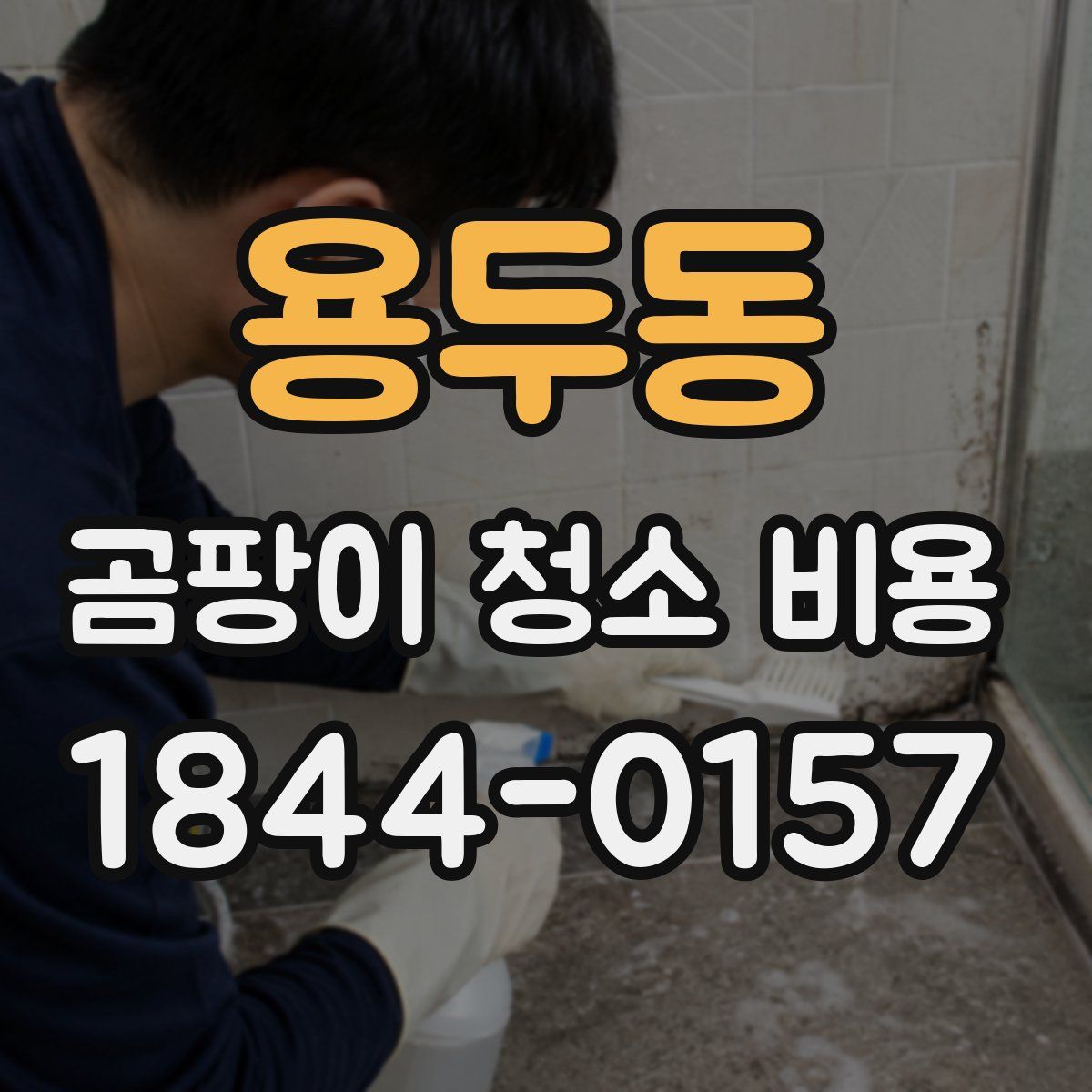 용두동 곰팡이 청소 비용