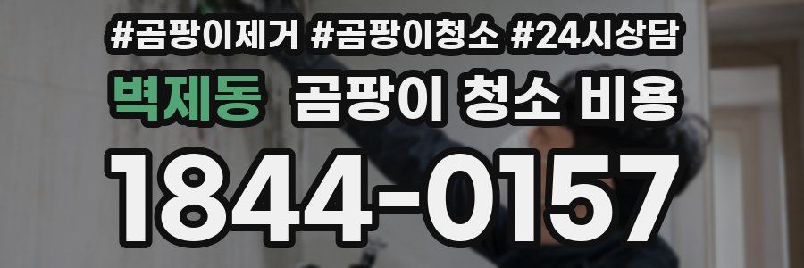 벽제동 곰팡이 청소 비용