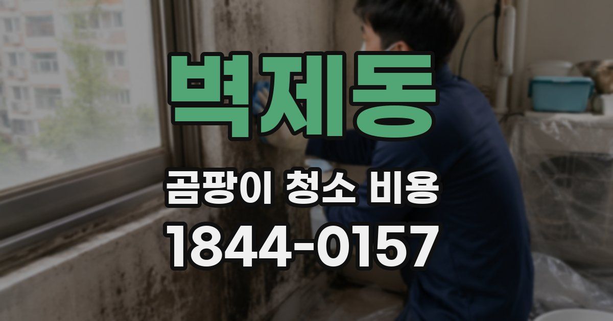 벽제동 곰팡이 청소 비용
