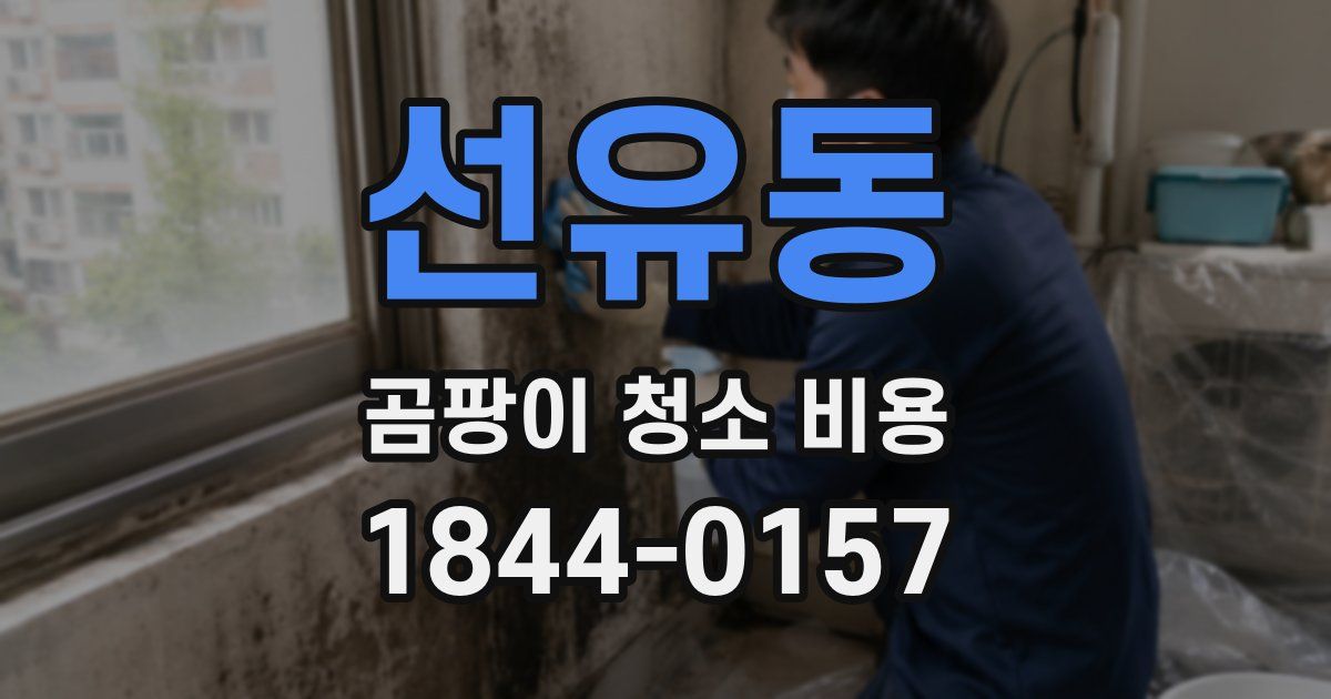선유동 곰팡이 청소 비용