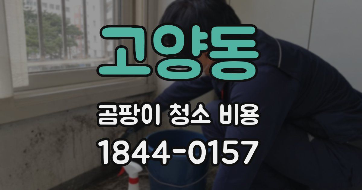 고양동 곰팡이 청소 비용