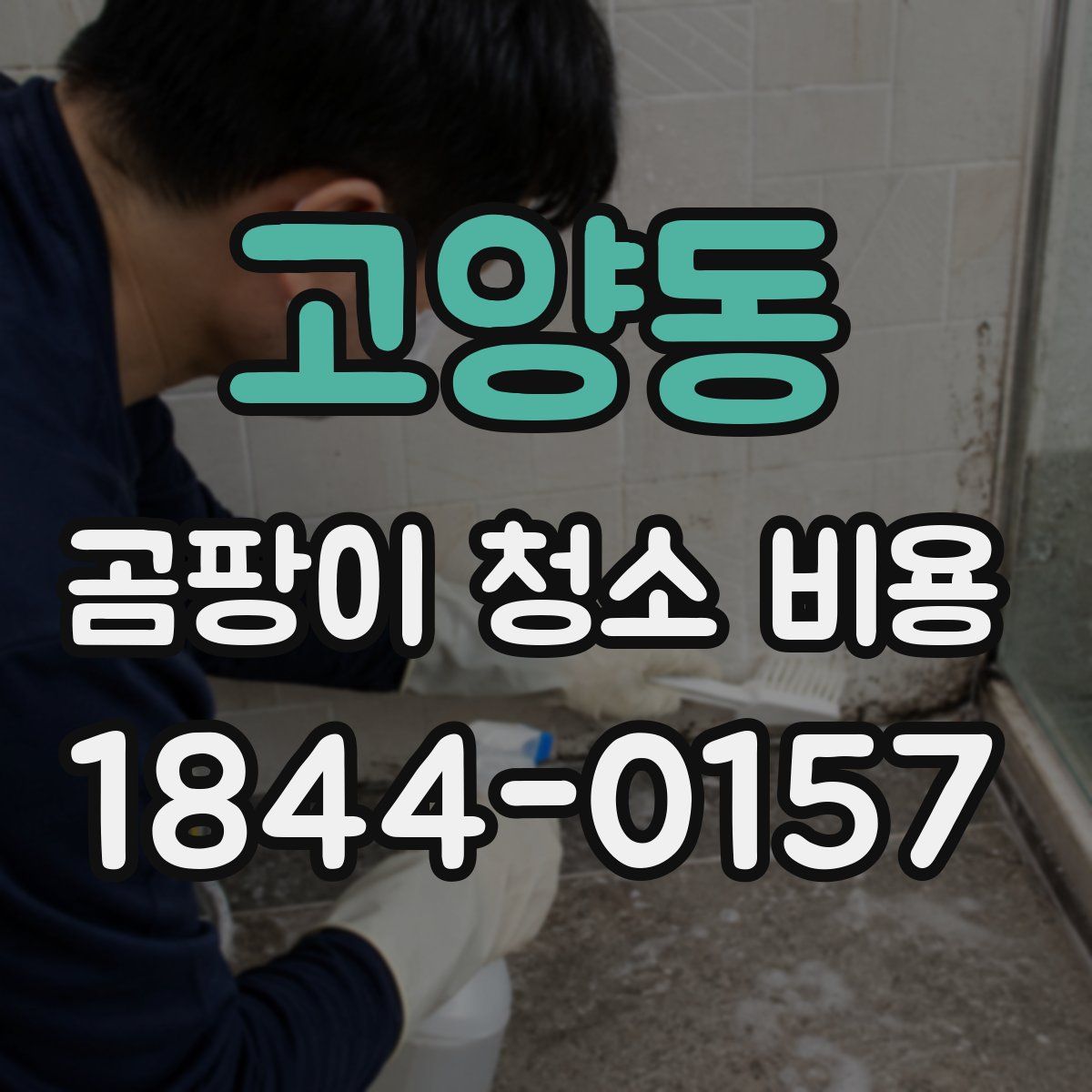 고양동 곰팡이 청소 비용