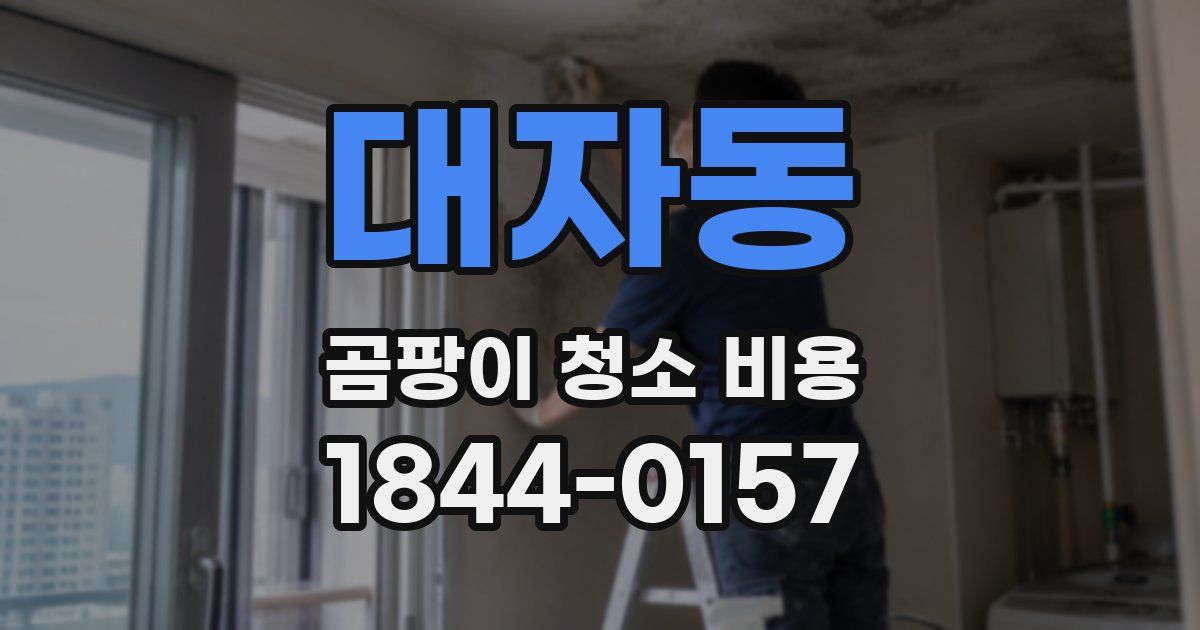 대자동 곰팡이 청소 비용
