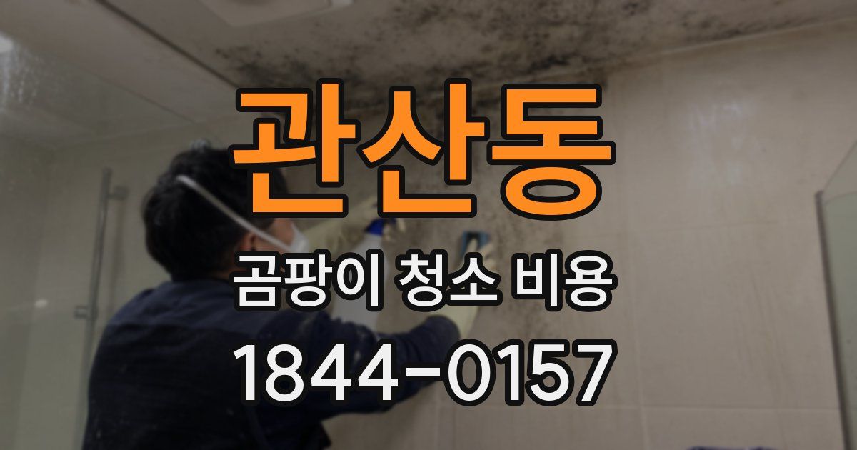 관산동 곰팡이 청소 비용