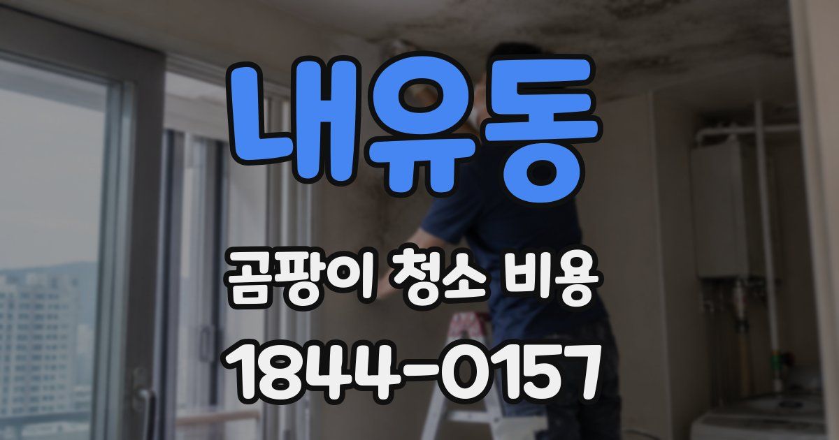내유동 곰팡이 청소 비용