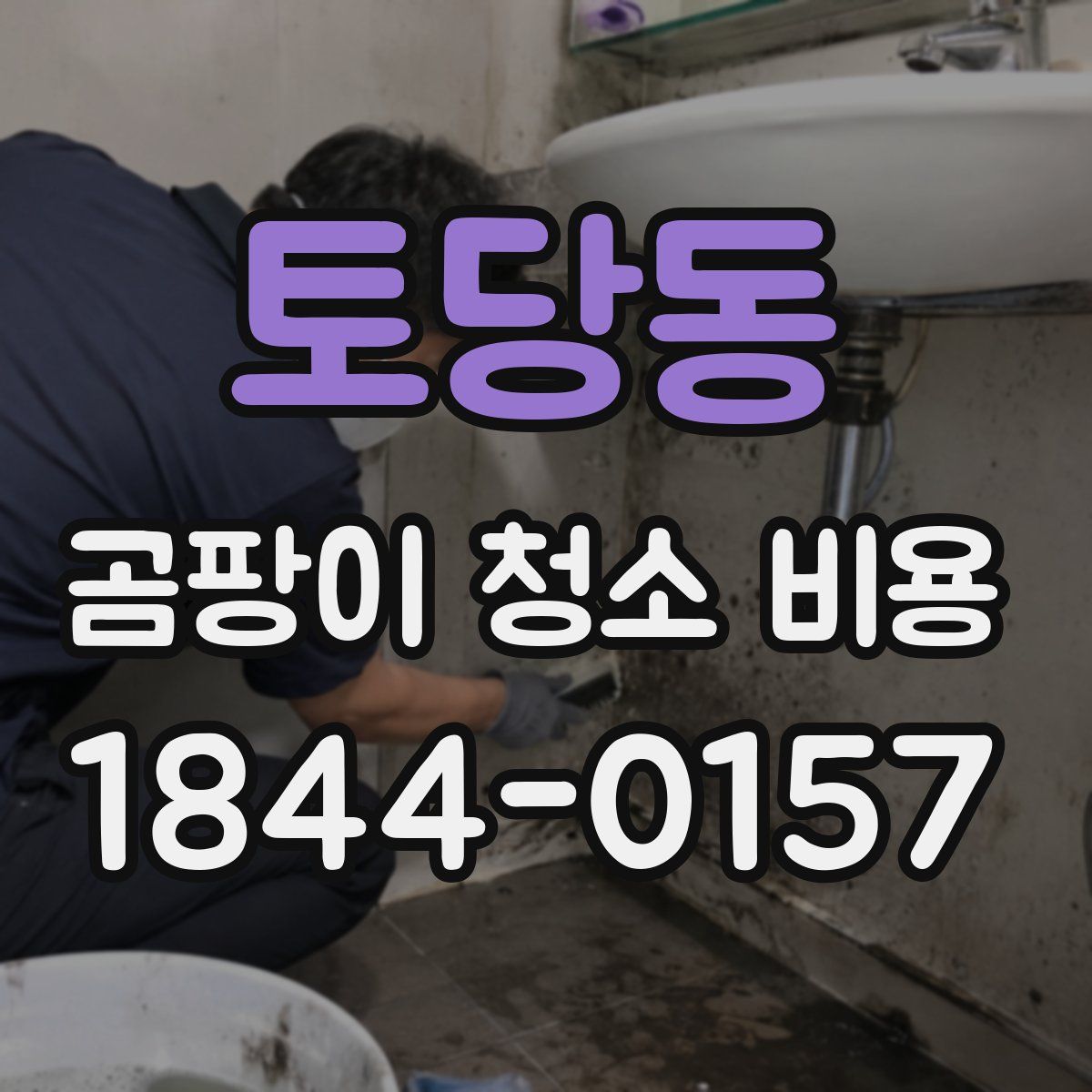 토당동 곰팡이 청소 비용
