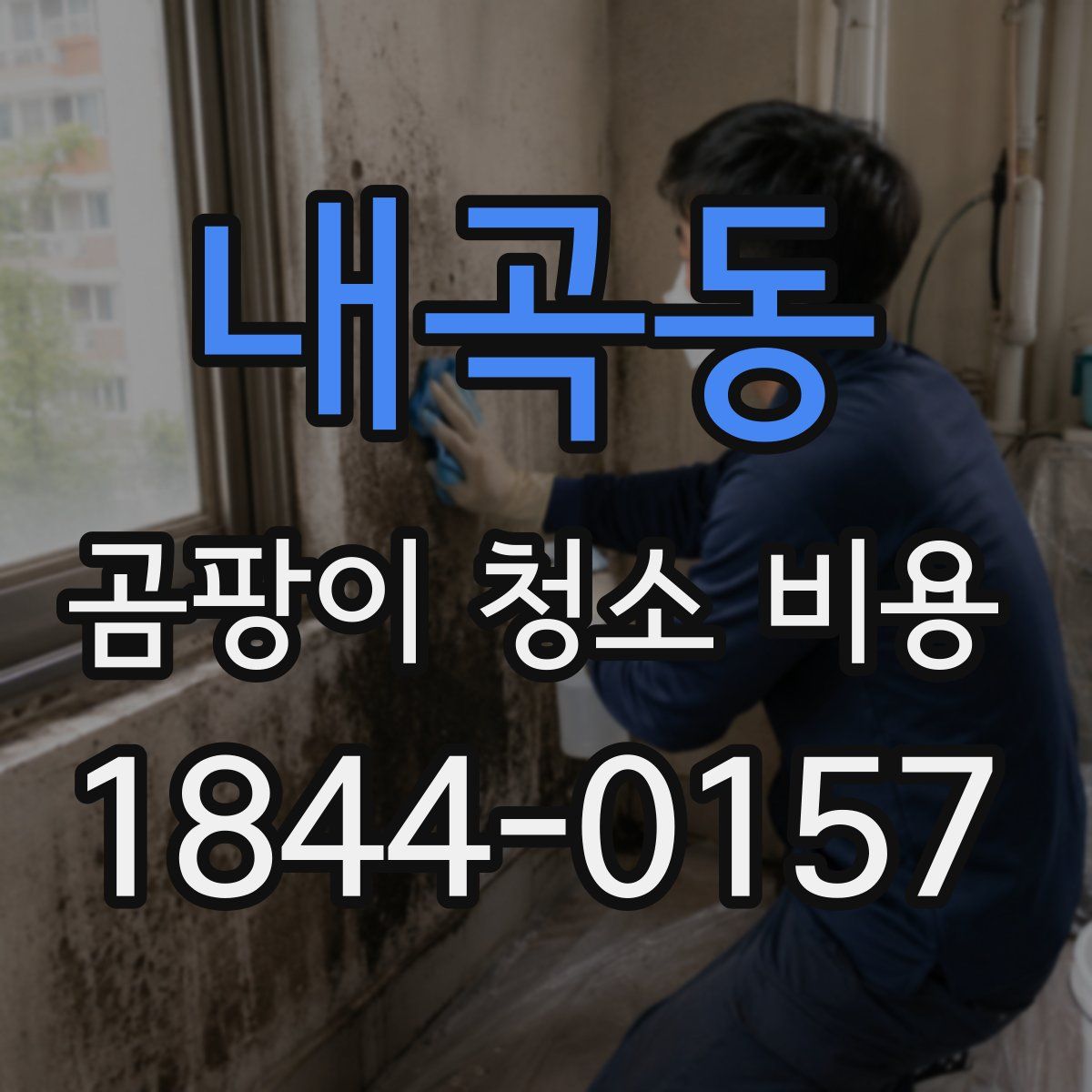내곡동 곰팡이 청소 비용