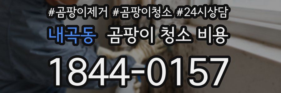 내곡동 곰팡이 청소 비용