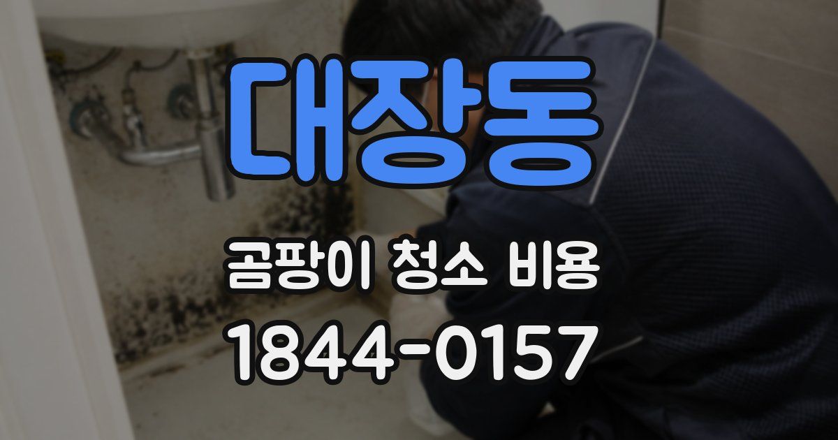 대장동 곰팡이 청소 비용