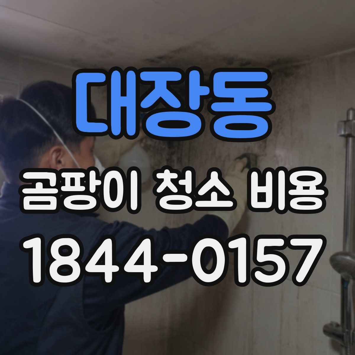 대장동 곰팡이 청소 비용