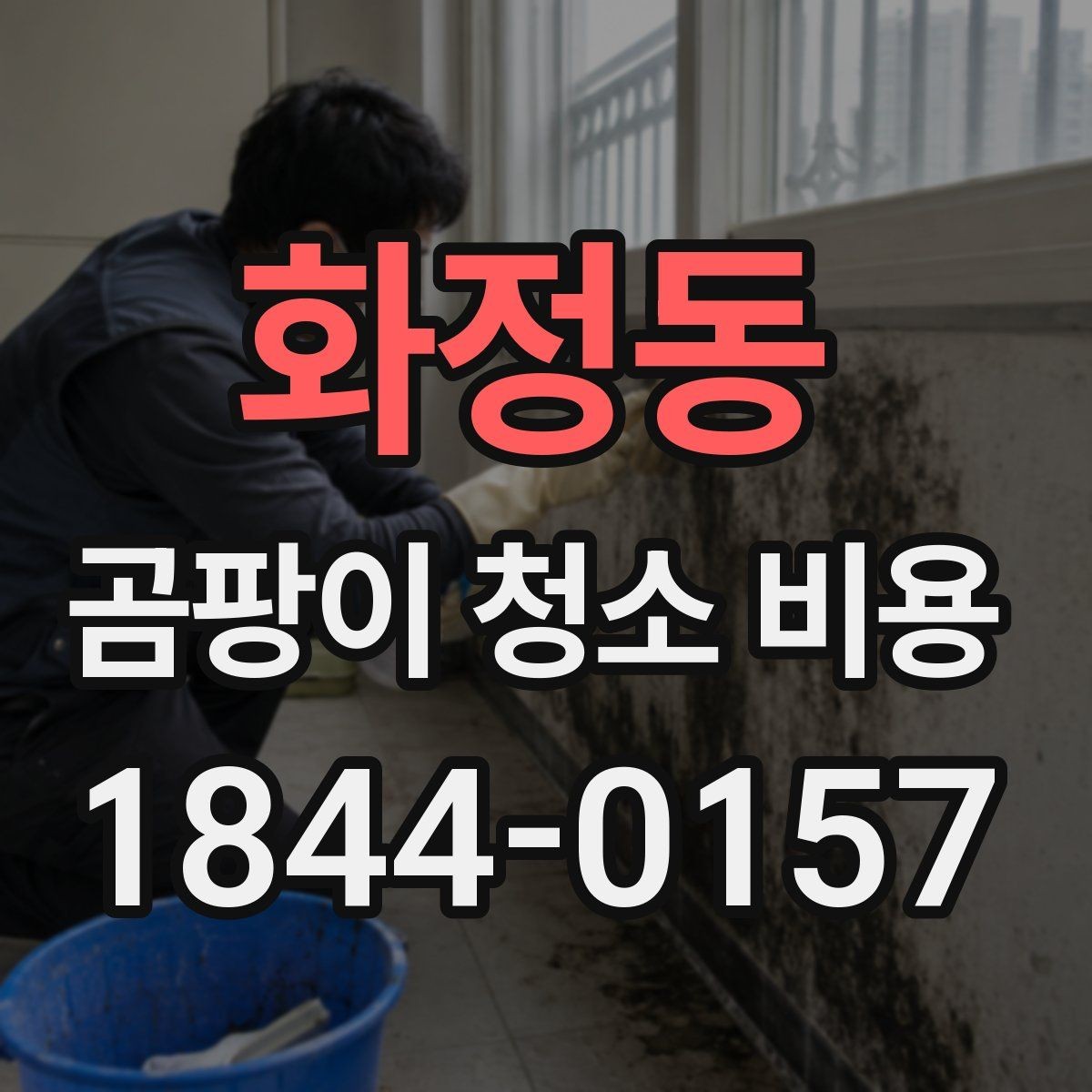 화정동 곰팡이 청소 비용 부분 작업과 전체 작업은 어떻게 다를까