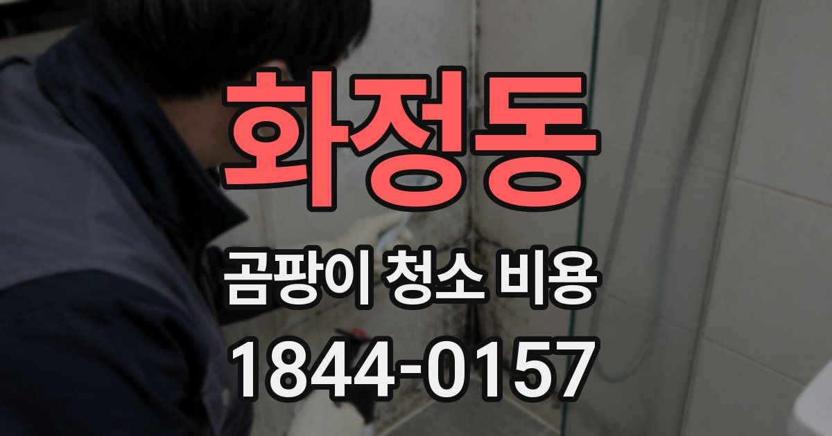 화정동 곰팡이 청소 비용