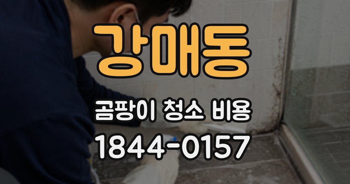 강매동 곰팡이 청소 비용