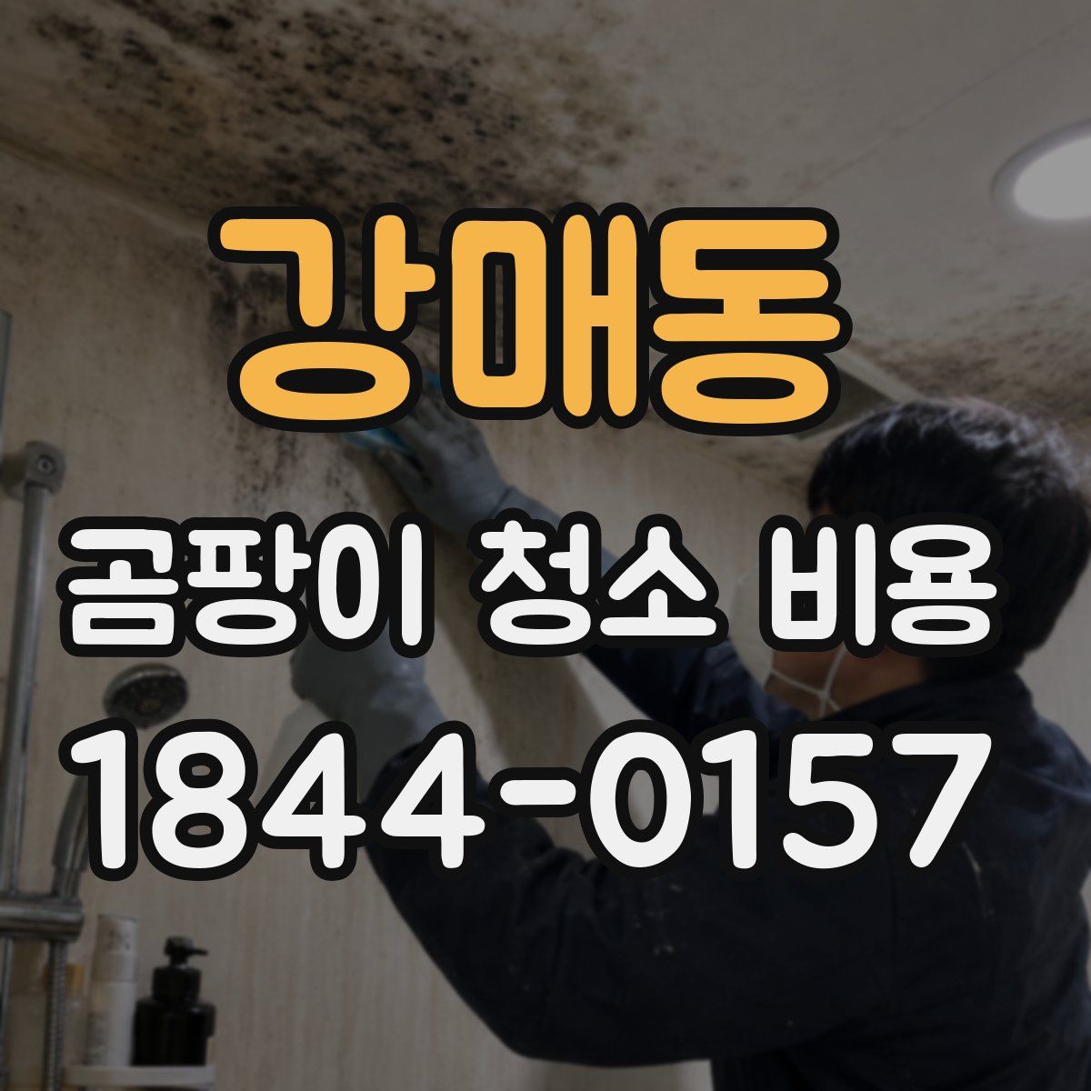 강매동 곰팡이 청소 비용