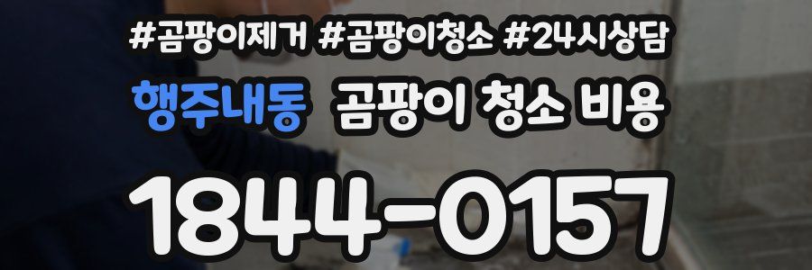 행주내동 곰팡이 청소 비용
