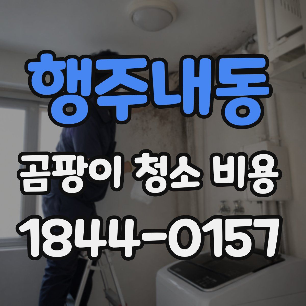 행주내동 곰팡이 청소 비용