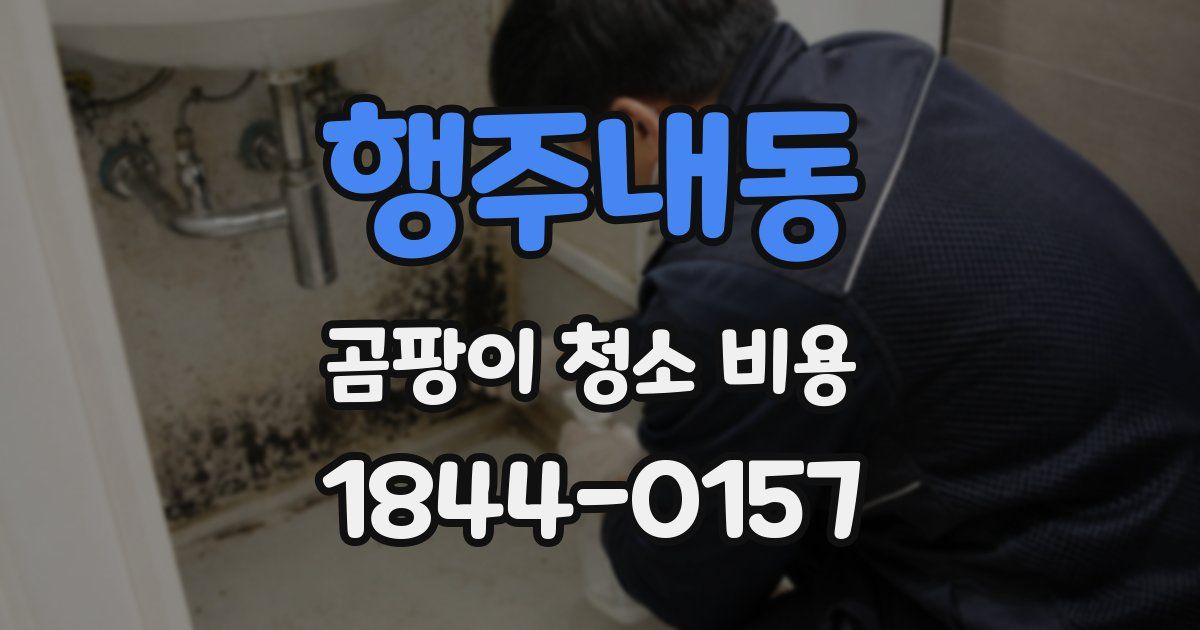 행주내동 곰팡이 청소 비용