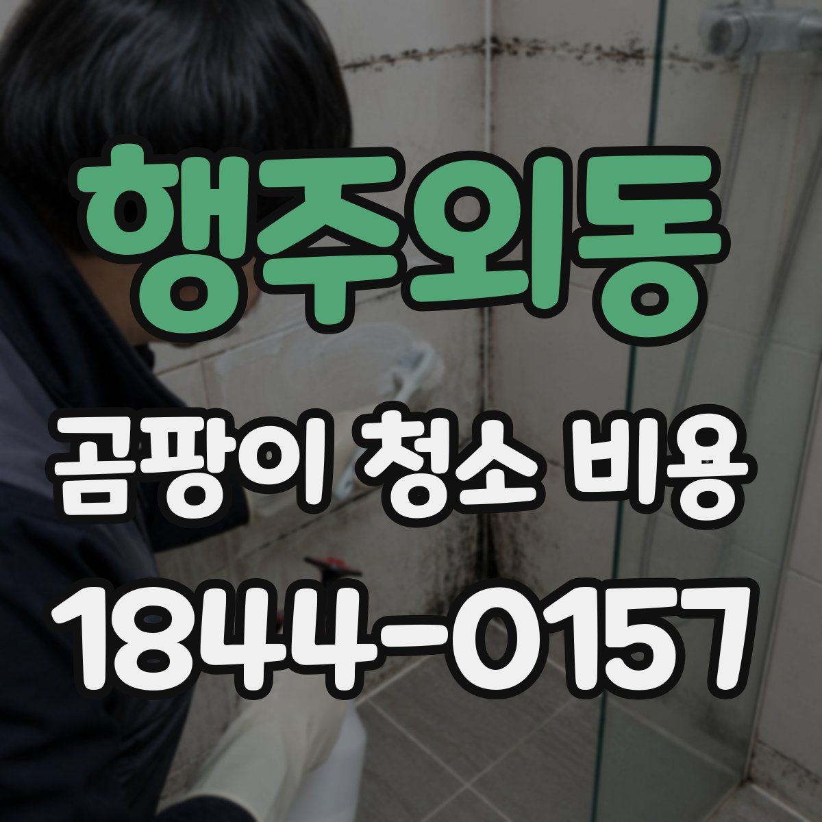 행주외동 곰팡이 청소 비용