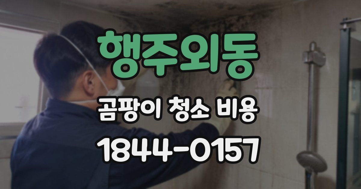 행주외동 곰팡이 청소 비용