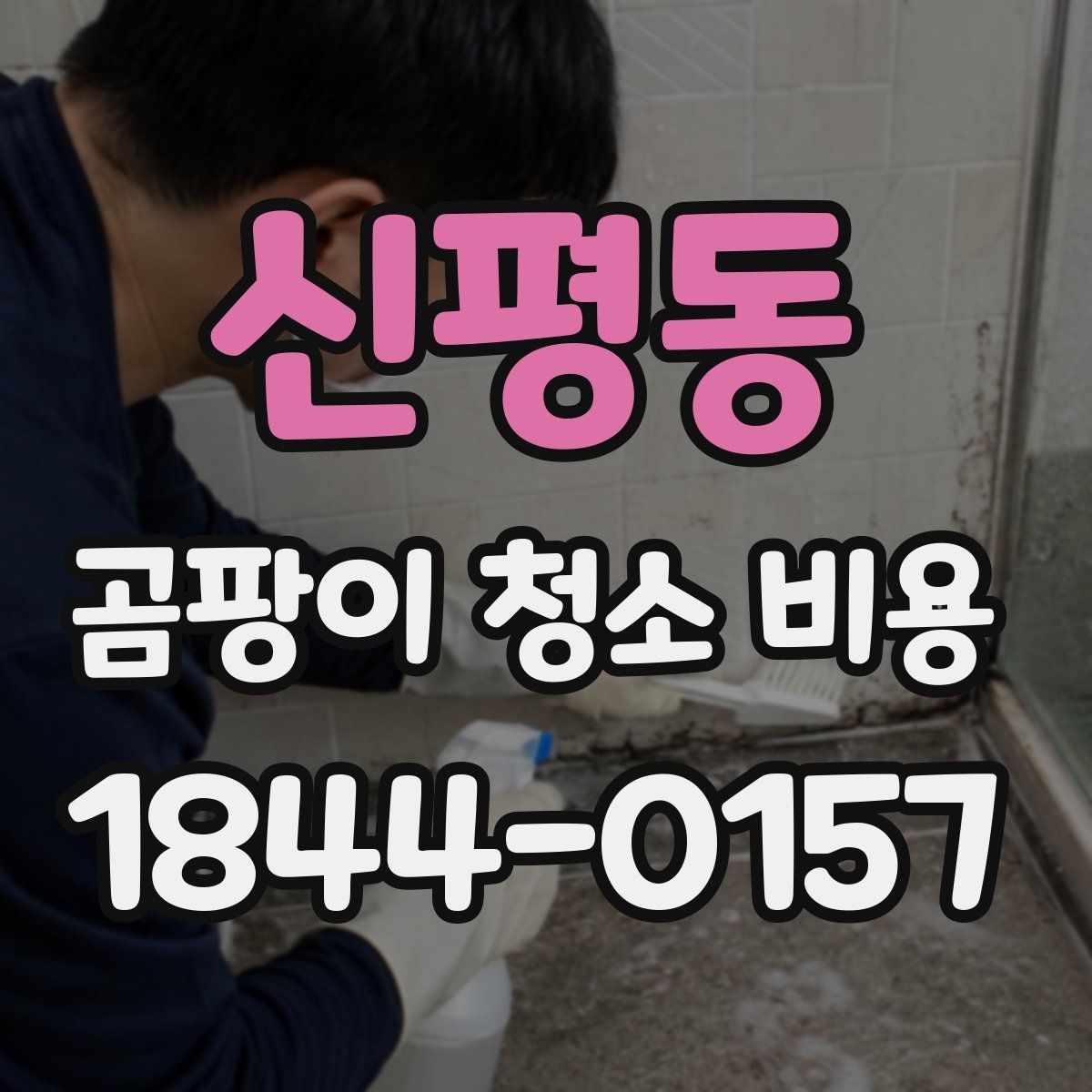 신평동 곰팡이 청소 비용