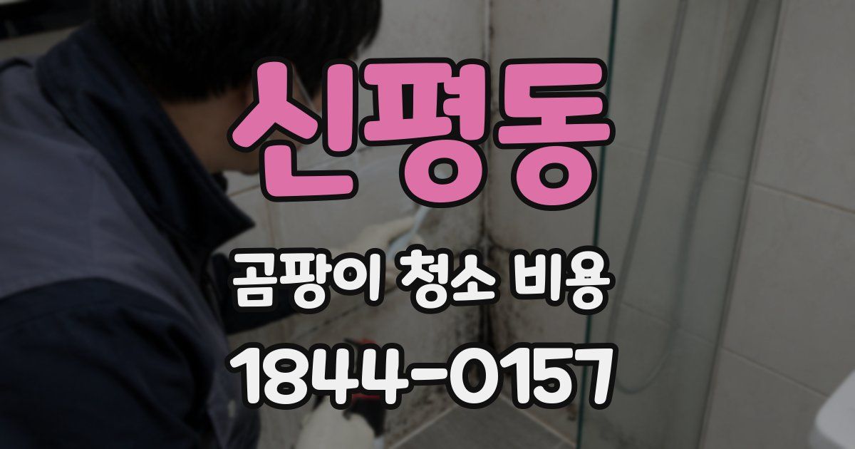 신평동 곰팡이 청소 비용