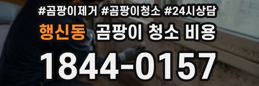 행신동 곰팡이 청소 비용
