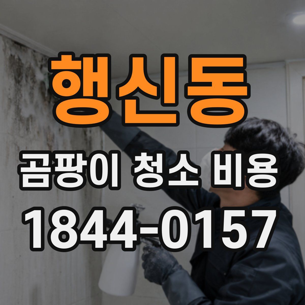 행신동 곰팡이 청소 비용