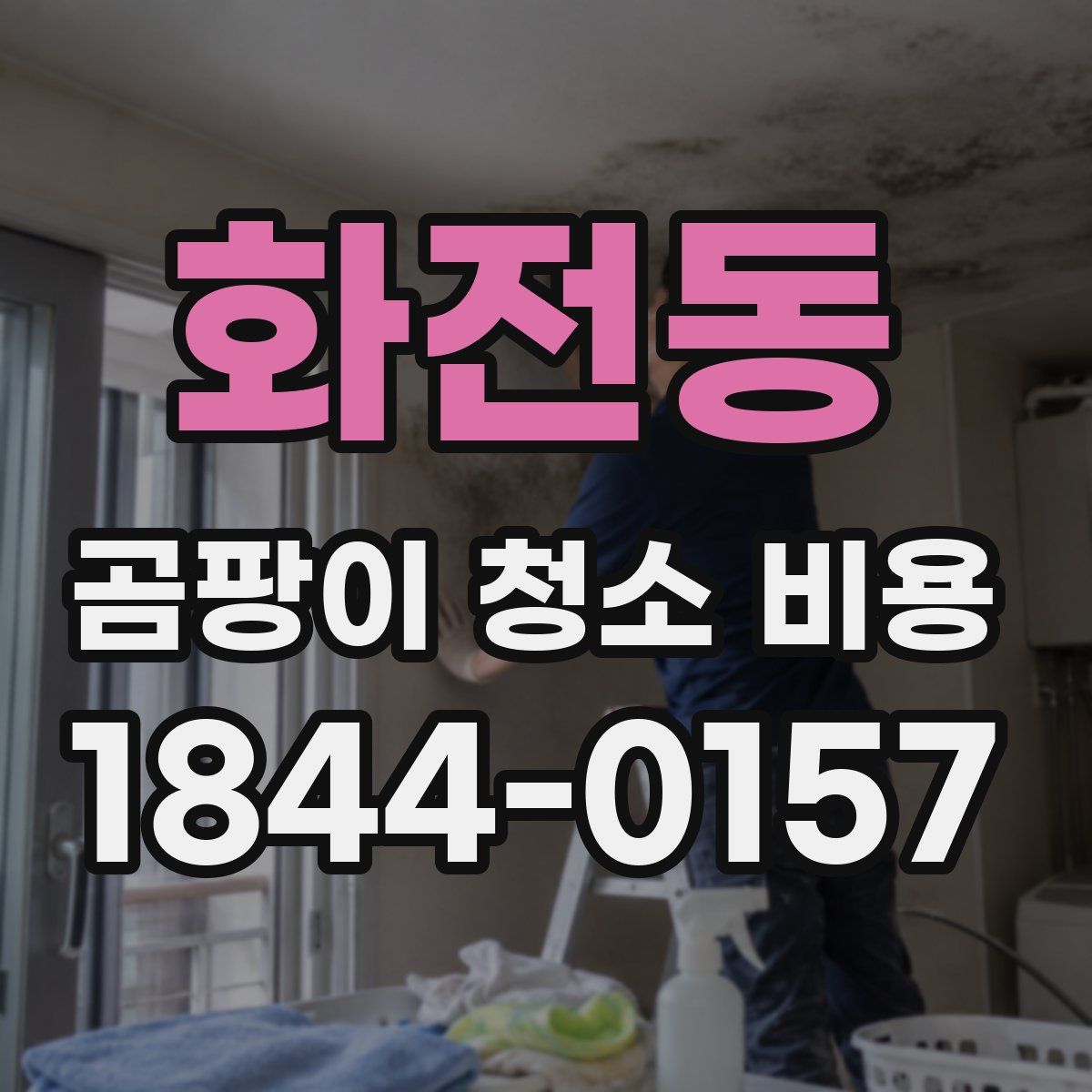 화전동 곰팡이 청소 비용