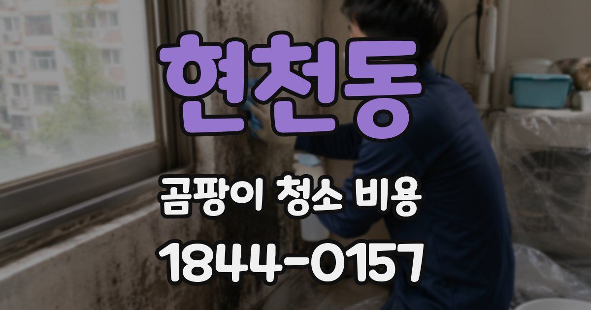 현천동 곰팡이 청소 비용