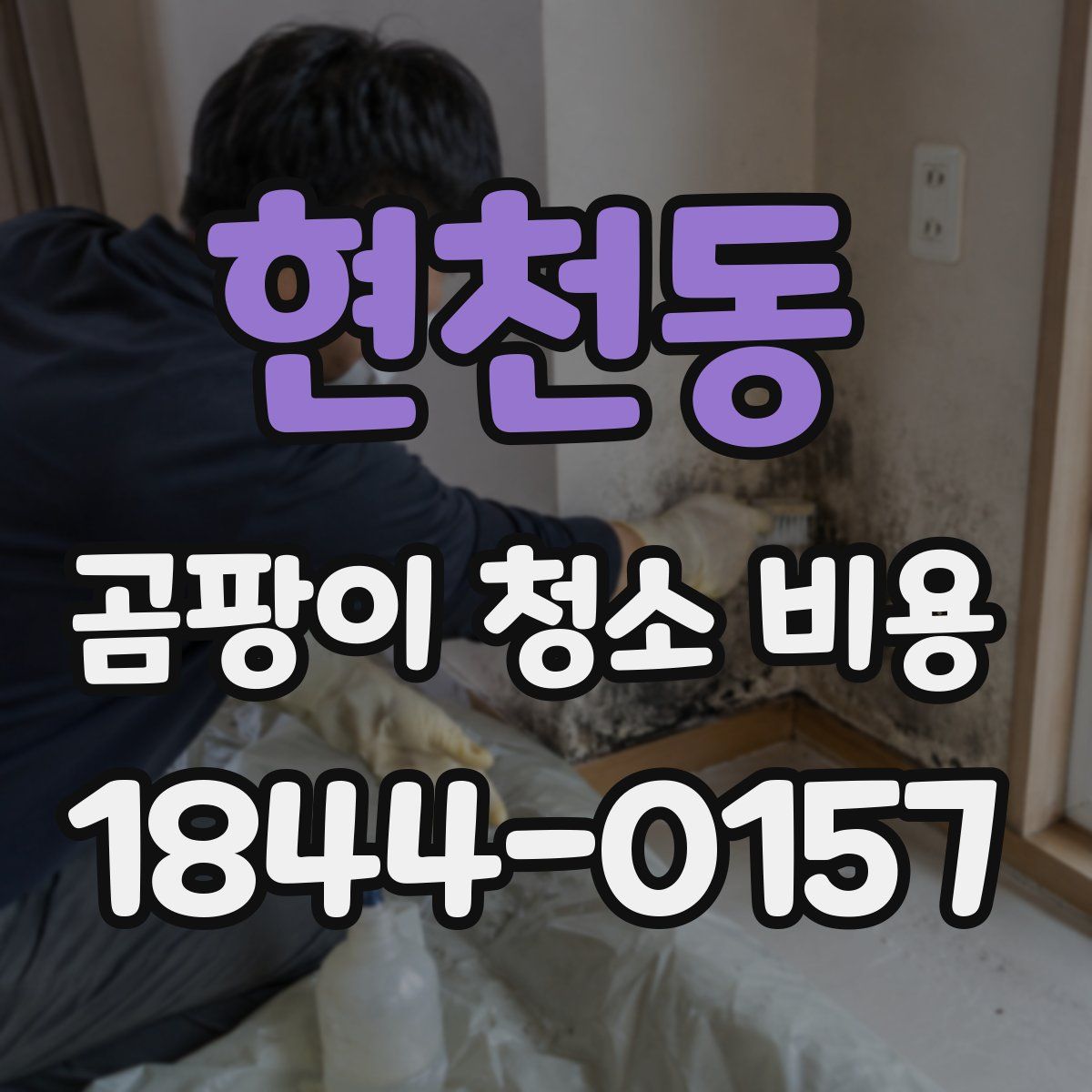 현천동 곰팡이 청소 비용