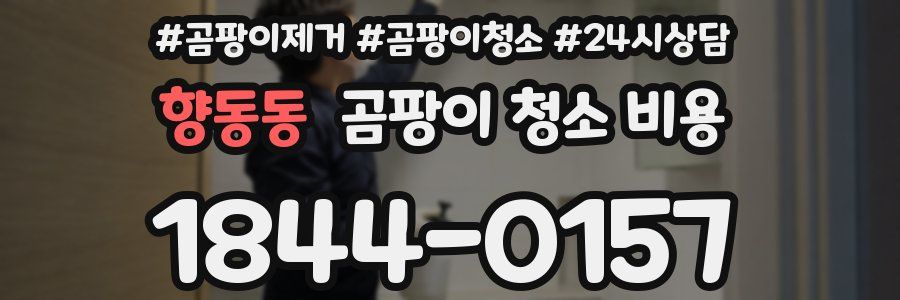 향동동 곰팡이 청소 비용