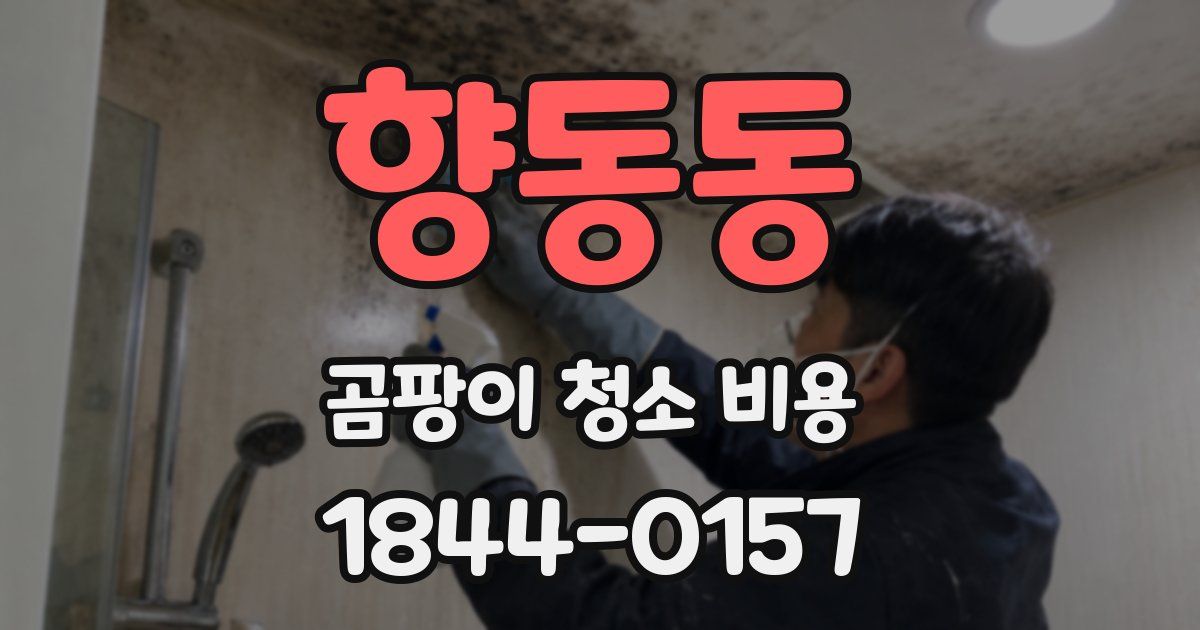 향동동 곰팡이 청소 비용