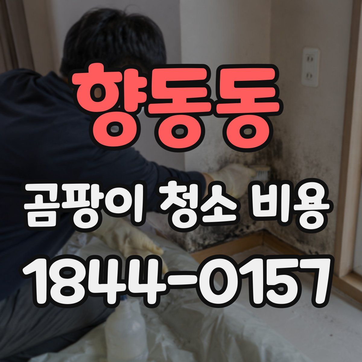 향동동 곰팡이 청소 비용