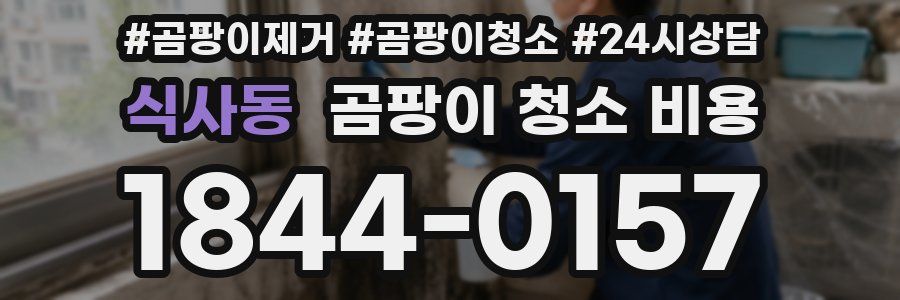 식사동 곰팡이 청소 비용