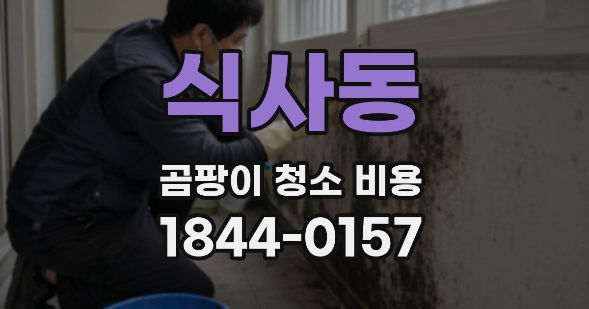 식사동 곰팡이 청소 비용