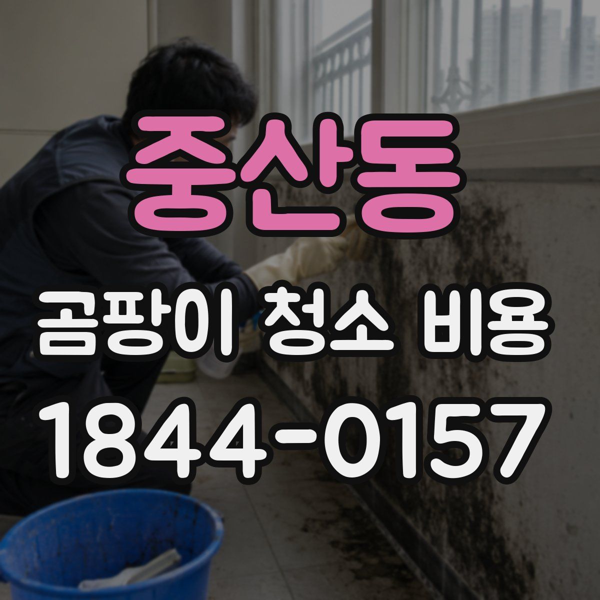 중산동 곰팡이 청소 비용