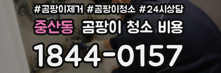 중산동 곰팡이 청소 비용