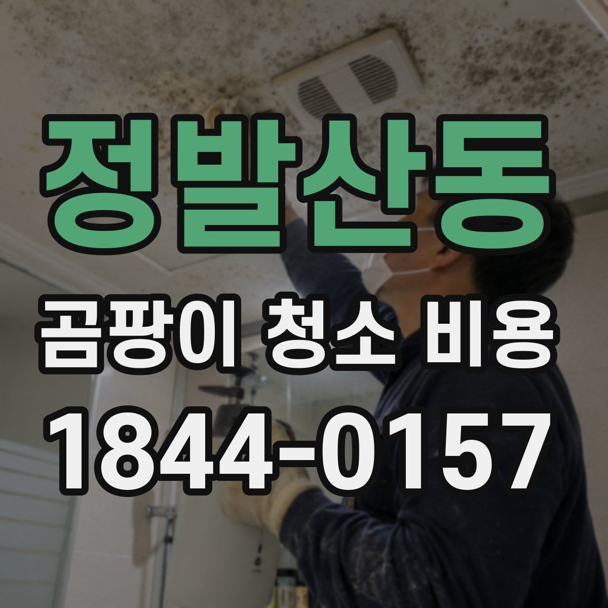 정발산동 곰팡이 청소 비용