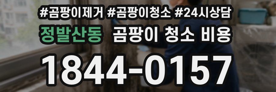정발산동 곰팡이 청소 비용
