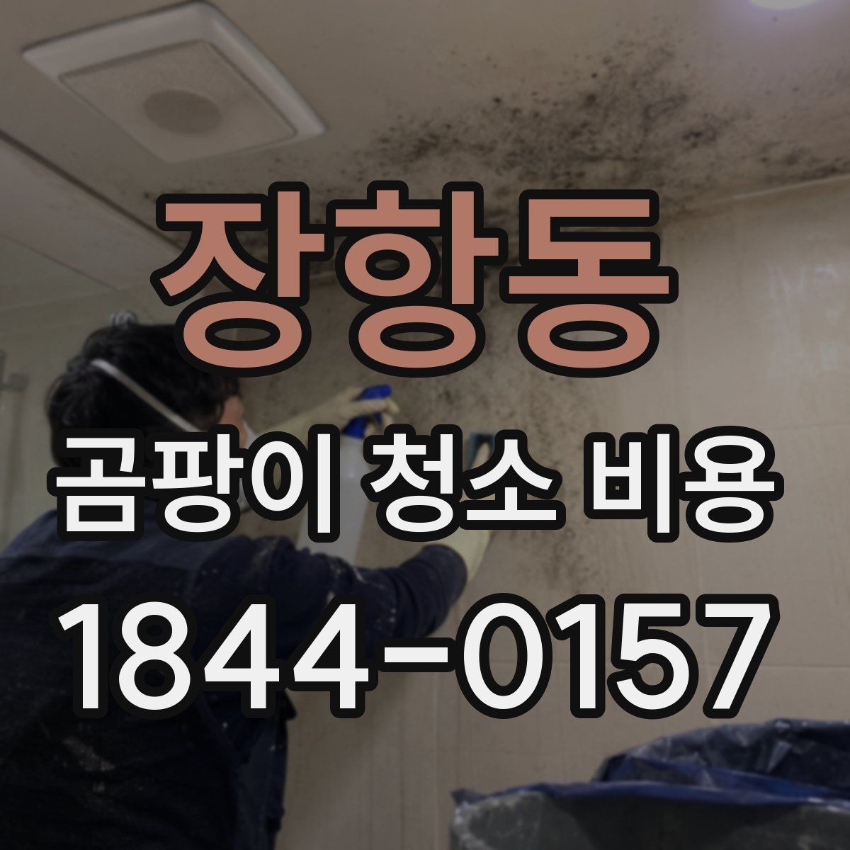 장항동 곰팡이 청소 비용 벽지 손상 여부에 따라 달라지는 견적 요소