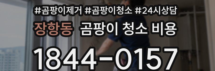 장항동 곰팡이 청소 비용