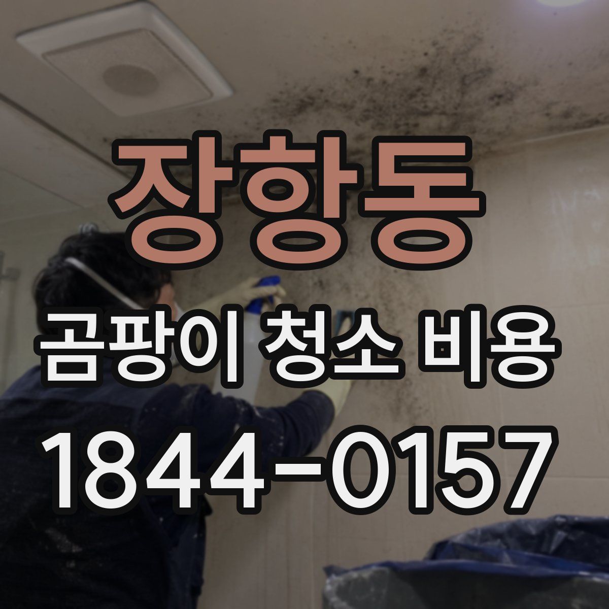 장항동 곰팡이 청소 비용