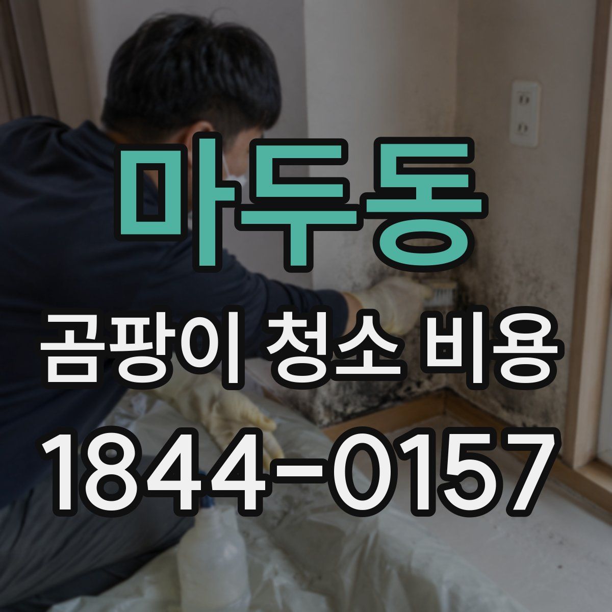 마두동 곰팡이 청소 비용