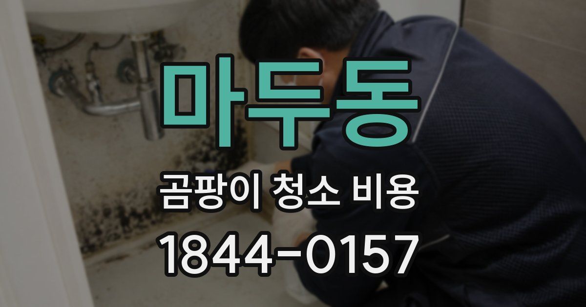 마두동 곰팡이 청소 비용